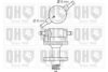 QUINTON HAZELL QFP87 Fuel Pump